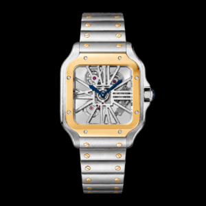Two Tone Skeleton Design Automatic Watch